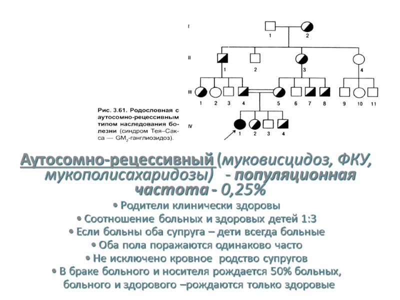 Другие типы наследования Аутосомно-рецессивный (муковисцидоз, ФКУ, мукополисахаридозы)   - популяционная частота - 0,25%